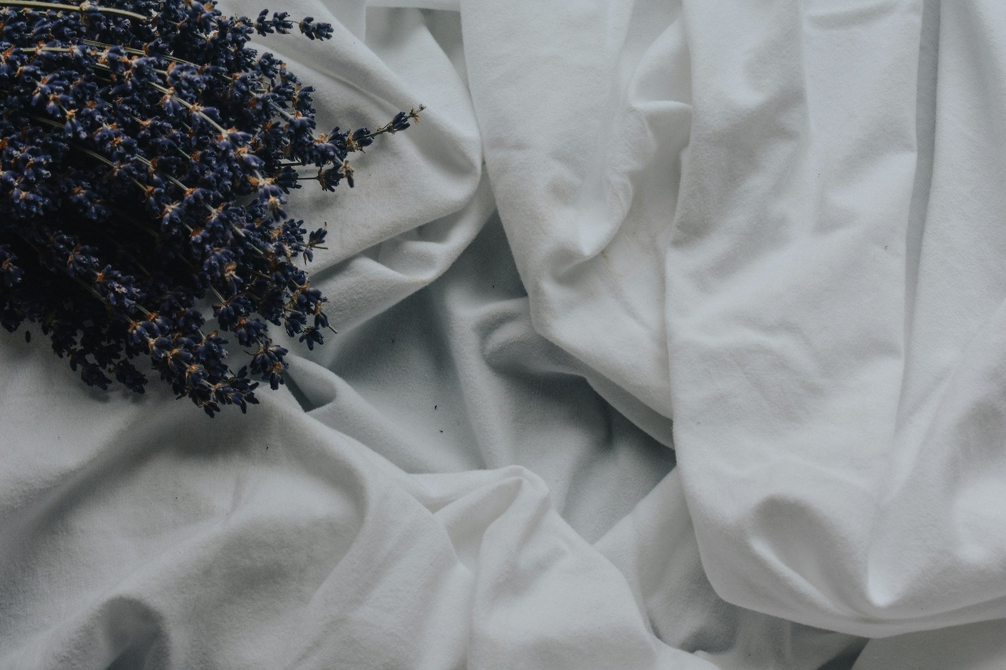 Slapen en geur: welke geuren hebben een positief effect op je nachtrust?